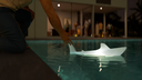 Bobb The Shark