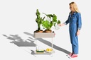 Organisateur multifonctionnel