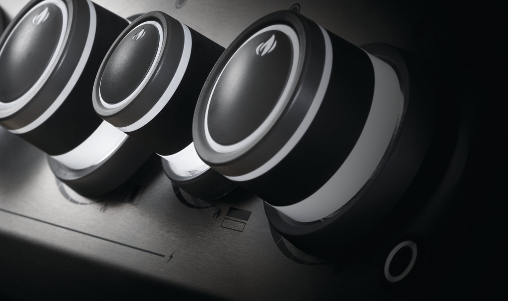 Barbecue Rogue SE 425 + tourne broche GRATUIT