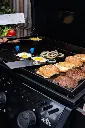 f24 3.webp