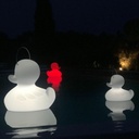 Duck Duck XL