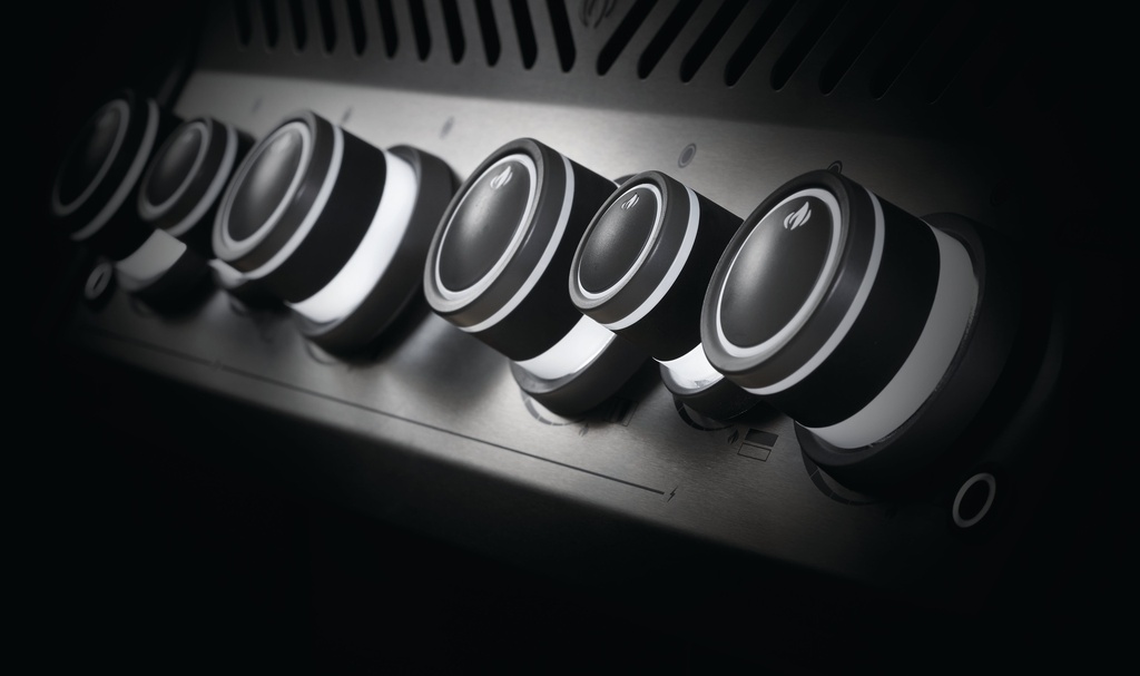 Barbecue Rogue SE525 RSIB