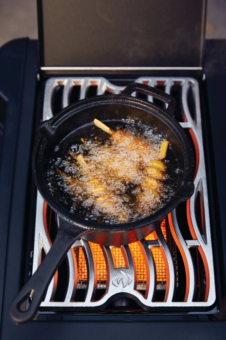 Barbecue Prestige 500 RSIB Phantom 