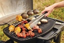 Barbecue TravelQ PRO285X phantom