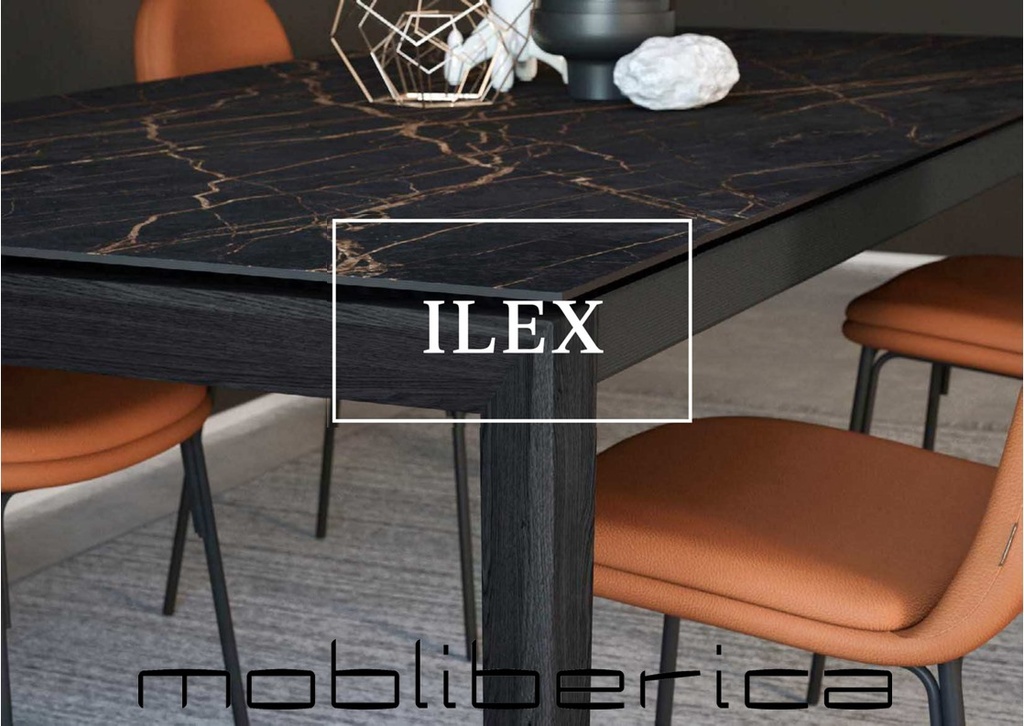 Table extensible Ilex céramique et bois 200-280x100 cm (en finition TC)  (Céramique)