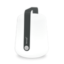 Lampe balad H38 cm carbone