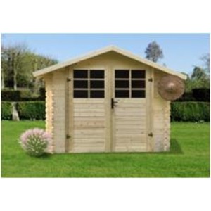 Abri de jardin P88902 300x200 cm