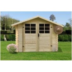 Abri de jardin P88907 300x300 cm