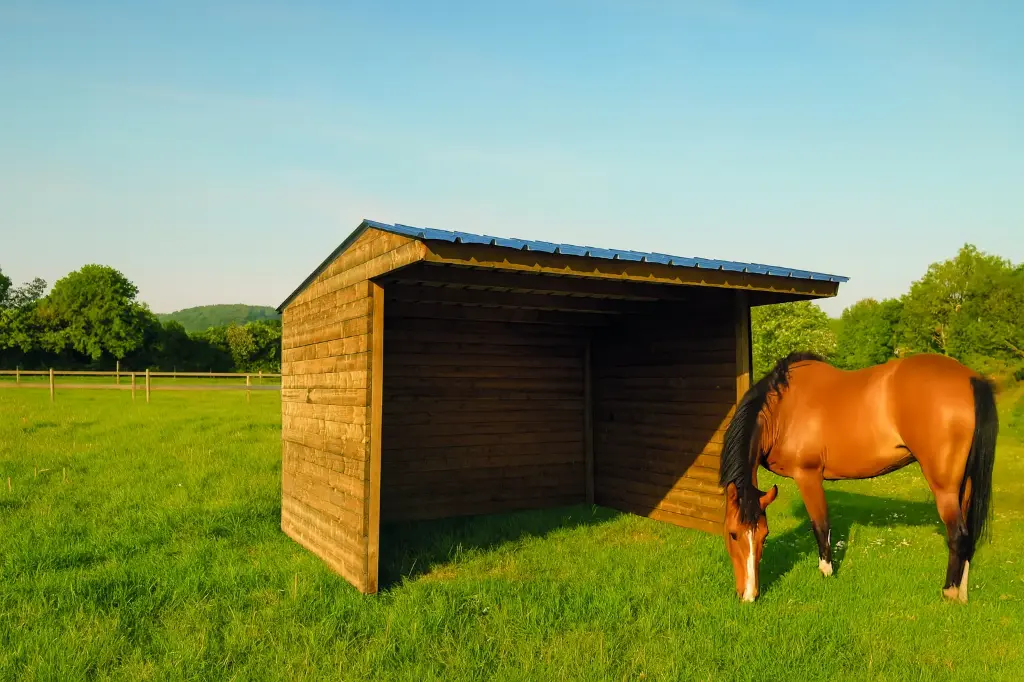Abri pour chevaux traité autoclave S7791 400x300 cm 