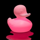 Duck Duck XL rose