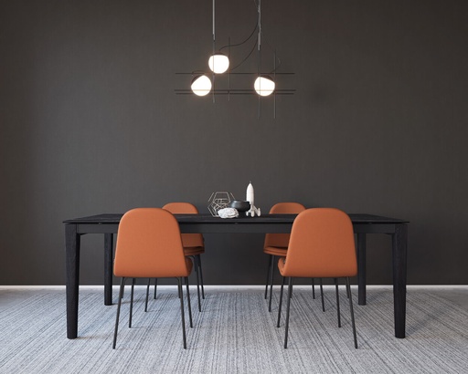 Table Ilex céramique et bois 200x100 cm (en finition TC)