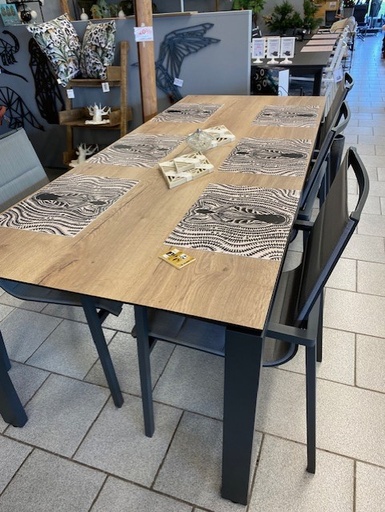 Table en HPL 280x95 cm imitation teck