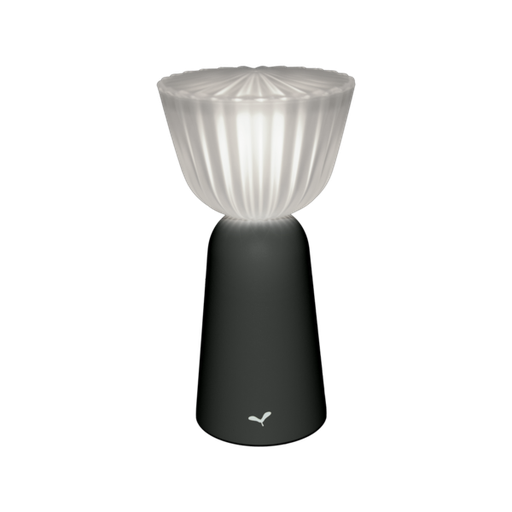 [h.20 cm] Lampe Swiing carbone