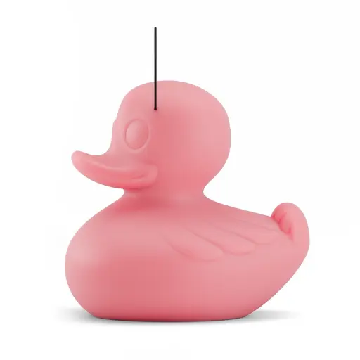 MEGA Duck Duck rose 