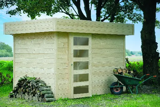 Abri de jardin Oslo S8216 300x200 cm