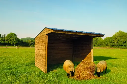 Abri pour chevaux traité autoclave S7790 300x300 cm