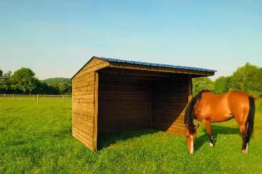 Abri pour chevaux traité autoclave S7791 400x300 cm 