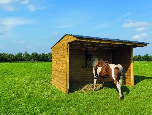 Abri pour chevaux traité autoclave S7792 500x300 cm 