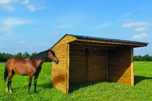 Abri pour chevaux traité autoclave S7793 600x300 cm  