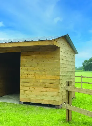 Paroi pour chevaux  S7785 