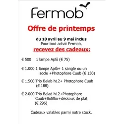  Action Printemps FERMOB