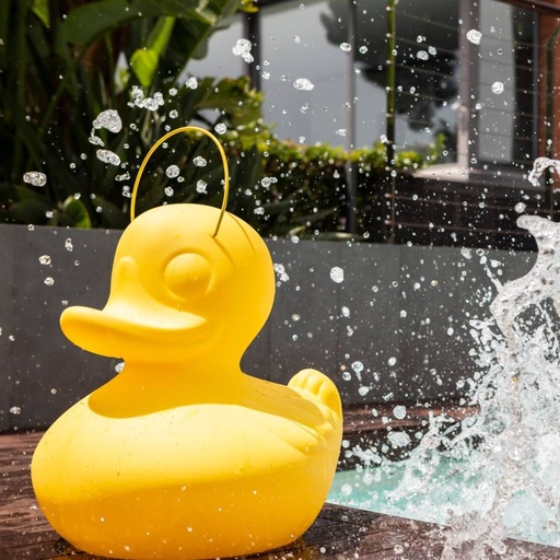 Duck Duck XL jaune