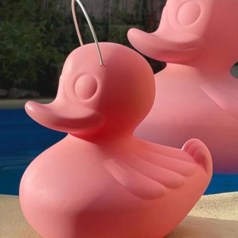 Duck Duck S rose